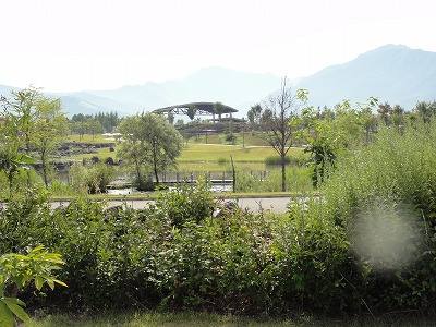 朝の八色の森公園_a0084753_857056.jpg