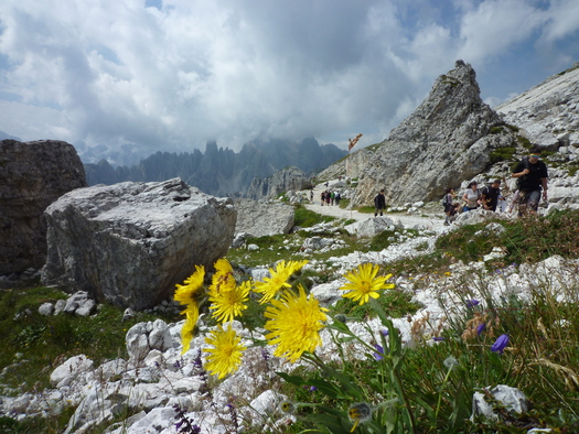 ドロミティ（Dolomiti）　In　Italy_a0108356_7513112.jpg