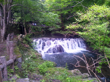 d0218056_1781621.jpg