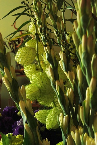 a0201358_13431429.jpg