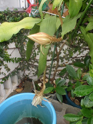 c0180460_76157.jpg