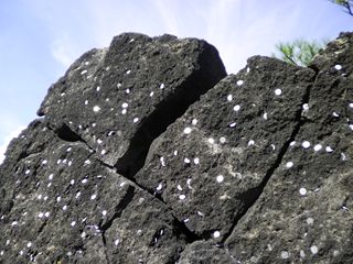 d0045362_10361199.jpg
