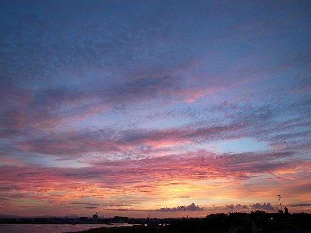 e0220163_9501372.jpg