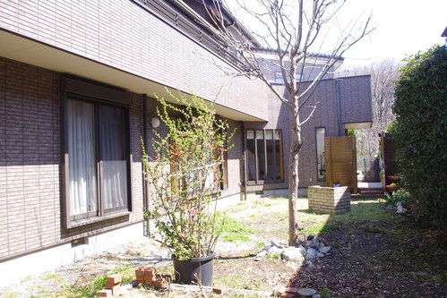 夏向きのアウトドアガーデン No1_f0228967_12193226.jpg