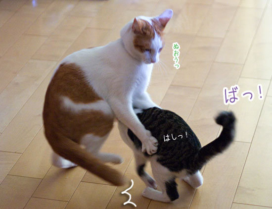 a0119470_1213770.jpg