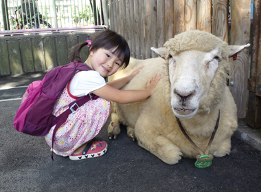 2012年　8月　25日（土）　板橋こども動物園_c0004078_2216654.jpg