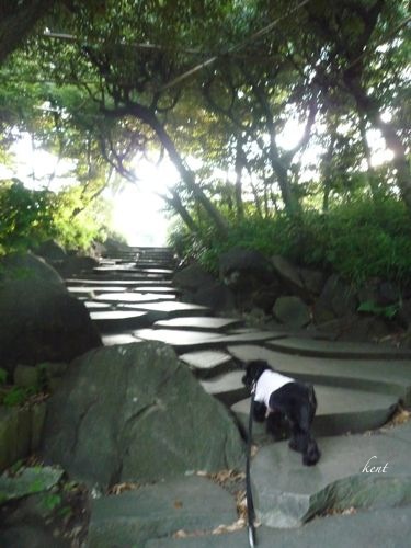 僕にだってお気に入りの場所があるんだよ!_d0266681_8581037.jpg