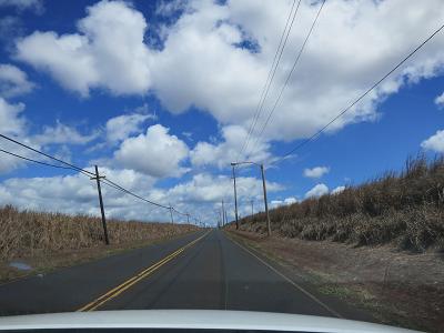 HAWAII 2_f0202682_18124665.jpg