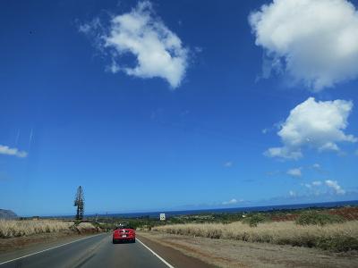 HAWAII 2_f0202682_18125742.jpg