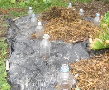 f0003283_73795.jpg