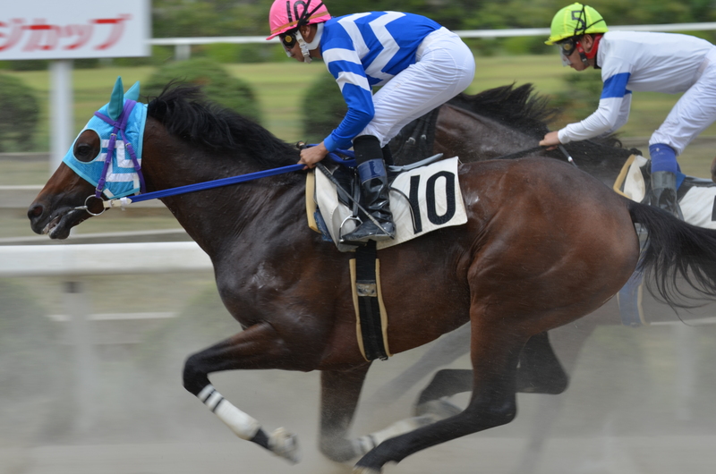 北野さん 台湾破れかぶれ日記