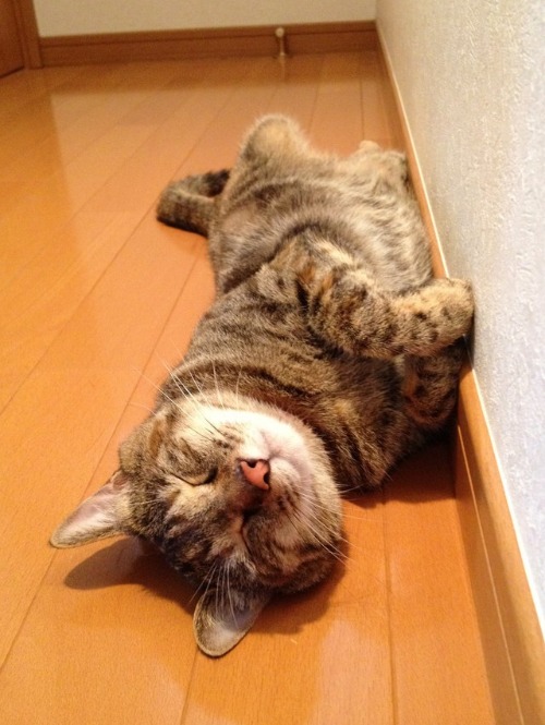 どうする?_a0126590_0254510.jpg