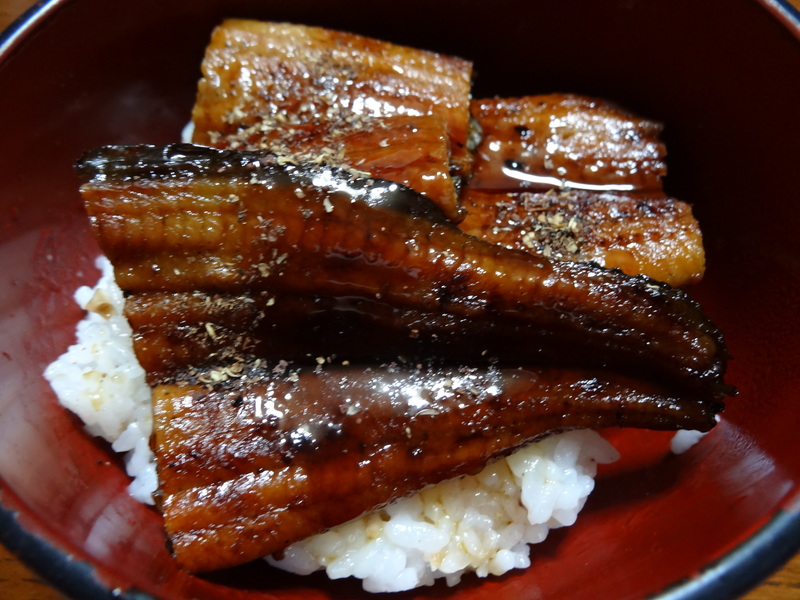 おでんとハンバーグに鰻丼で、ローカーボンダイエットです。_c0225997_17172532.jpg