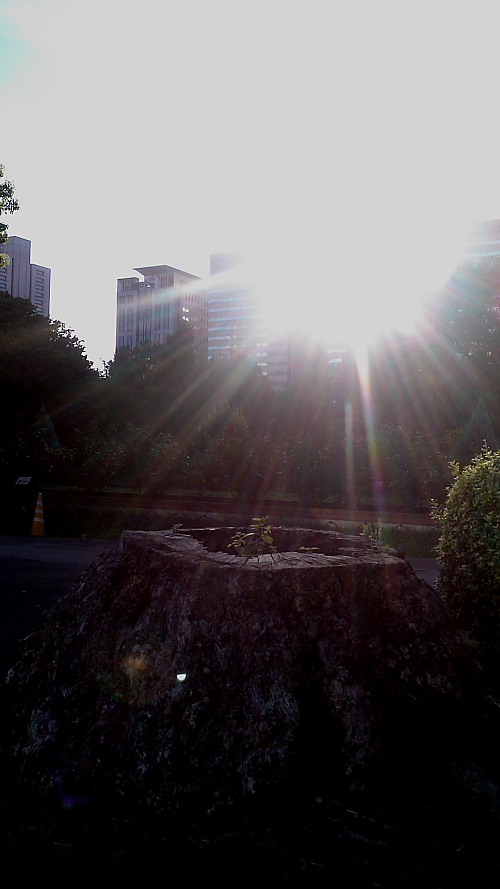 e0256199_1263825.jpg