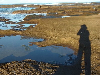 c0125501_8201325.jpg