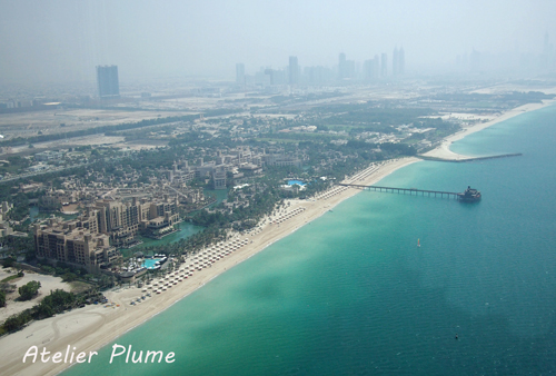 e0154202_2365151.jpg
