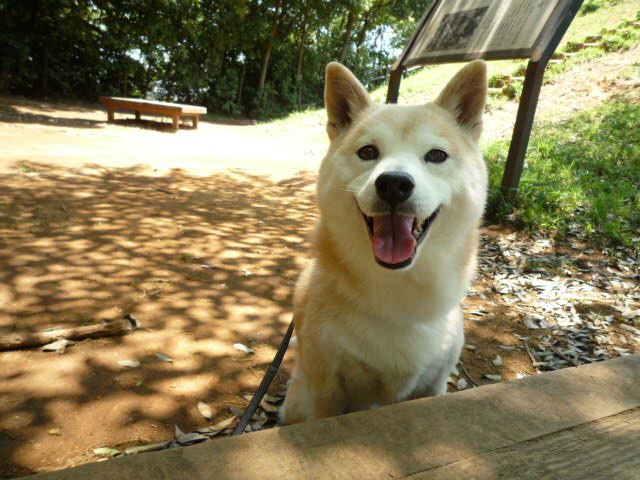 e0131506_8381534.jpg
