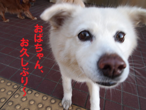 e0131506_8483988.jpg