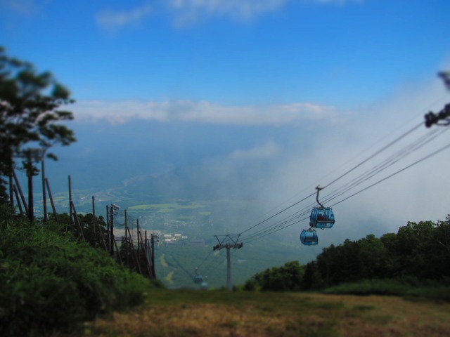 f0039907_1636337.jpg