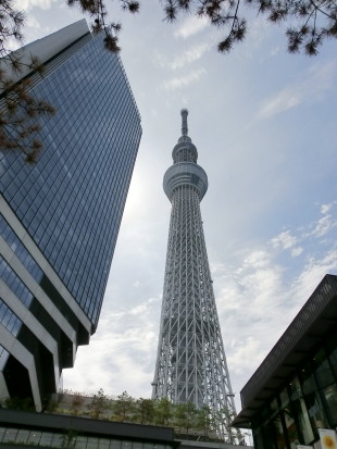 b0129008_10132395.jpg