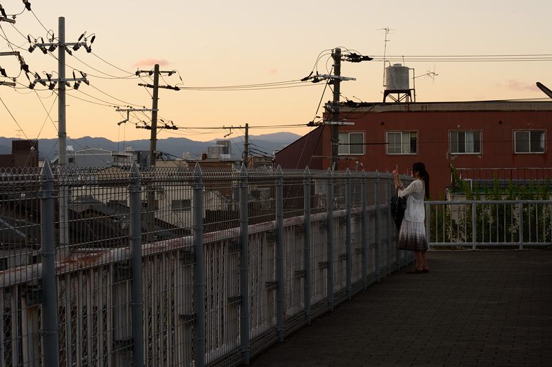 夕暮れ東山跨鉄橋_f0032011_19405719.jpg