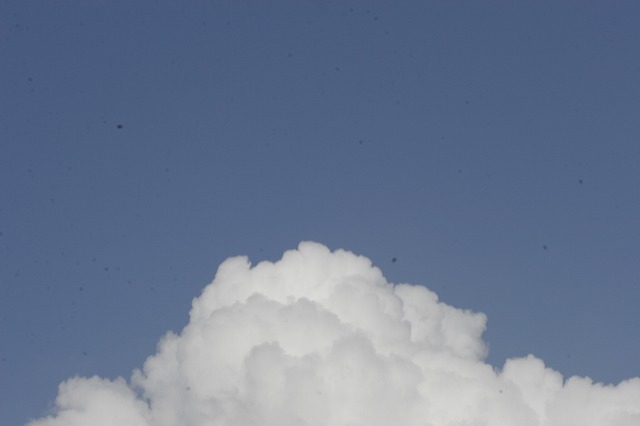 a0098513_1016108.jpg