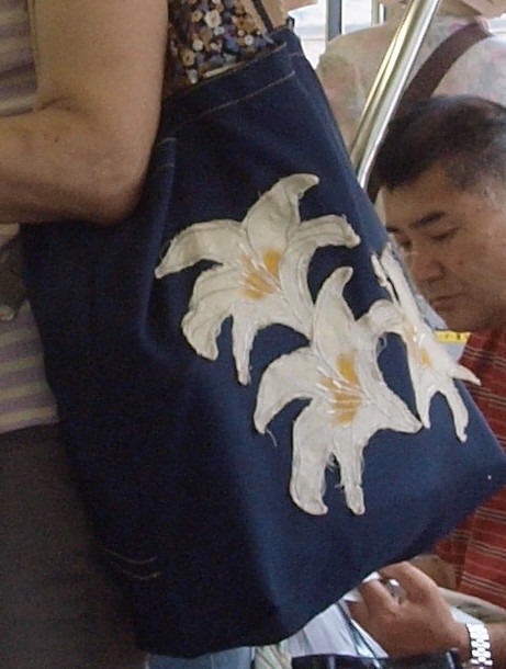 広電電車いろいろ_c0116915_051127.jpg