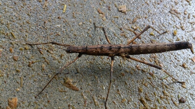 b0187620_20105613.jpg