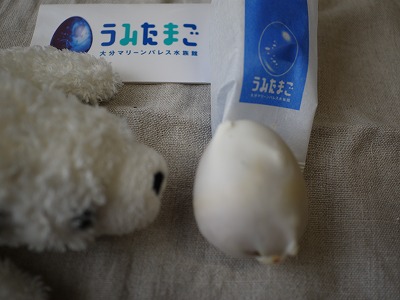 出張のお土産いっぱいだー 雷鳥のたまごやうみたまご かもめのたまごはどこかしら ツルカメ Days 出張のお土産いっぱいだー 雷鳥のたまごやうみたまご かもめのたまごはどこかしら ツルカメ Days