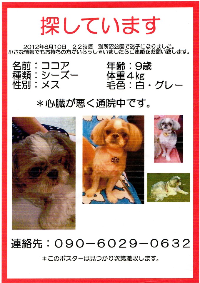 迷い犬の情報を集めています_f0222527_2330044.jpg