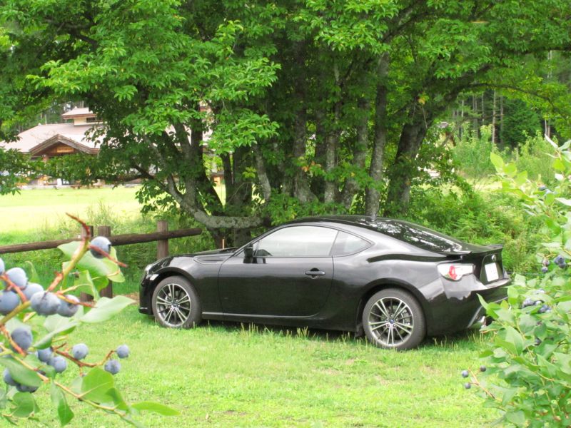 美味しいBRZが放つスポーツ性能と夏の味覚を比較する_f0076731_22384426.jpg