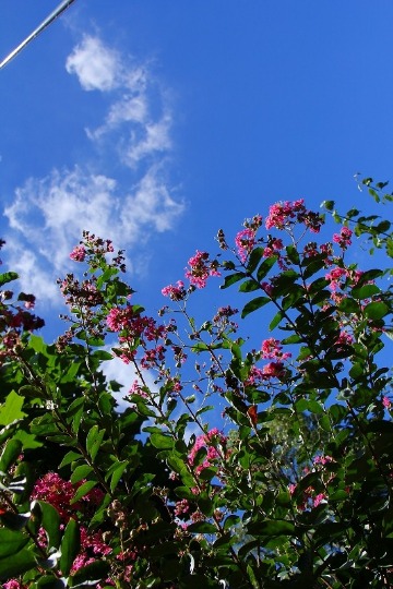 f0229832_10522195.jpg