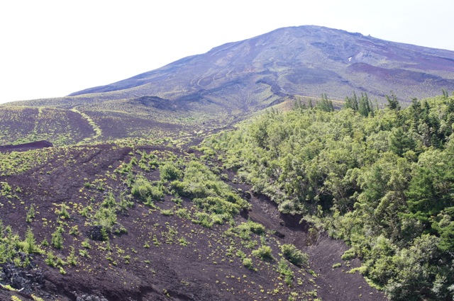 富士山旅行　3日目_d0199538_1802253.jpg