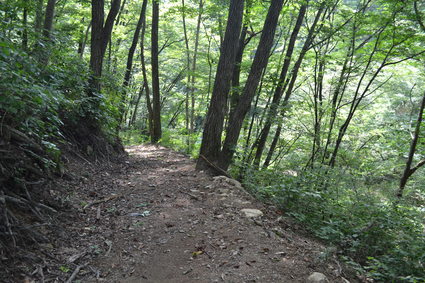 移動カフェMAKAP&倉渕パン工房湧然&桑茶かふぇ 2012_e0228938_17393371.jpg