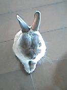 e0253338_20413079.jpg