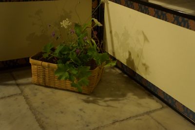 ちい茶な茶会、カッラーラにて_d0136540_5465818.jpg