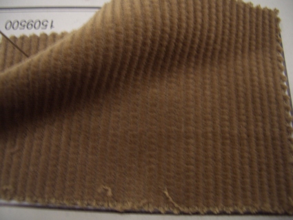 d0060944_96879.jpg