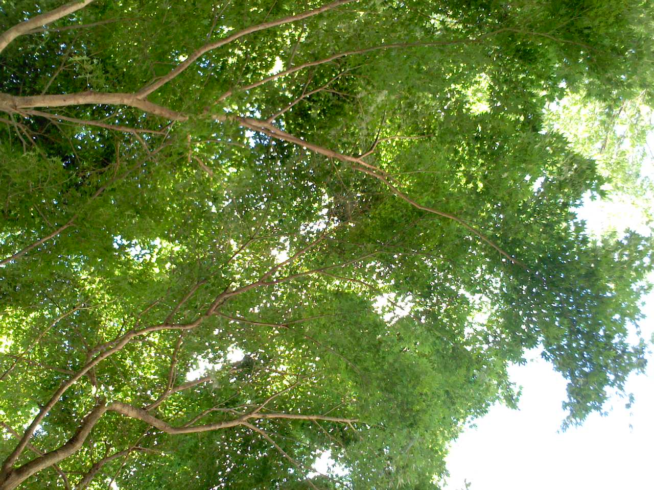 f0182246_1122377.jpg