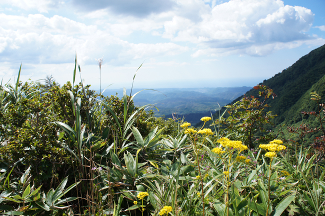 f0214649_20102916.jpg