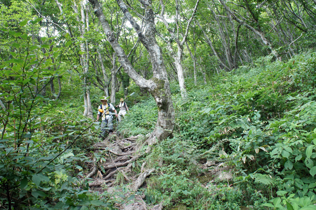 f0214649_208366.jpg