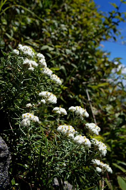 f0214649_450493.jpg