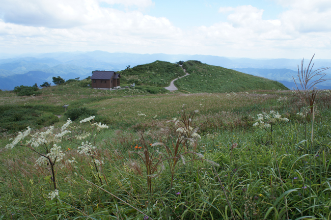 f0214649_5124913.jpg