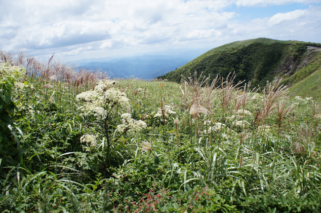 f0214649_582453.jpg