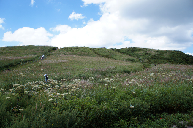 f0214649_585888.jpg