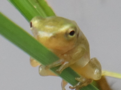 d0112350_4202467.jpg