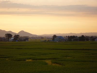 b0220251_82153.jpg