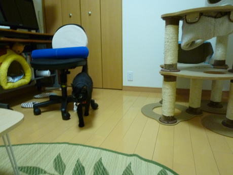 d0170555_1810556.jpg