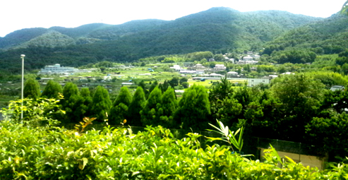d0218056_8253634.jpg