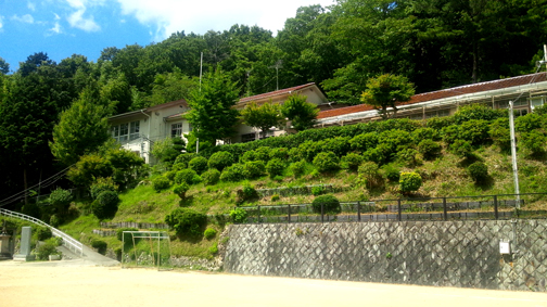 d0218056_8292099.jpg
