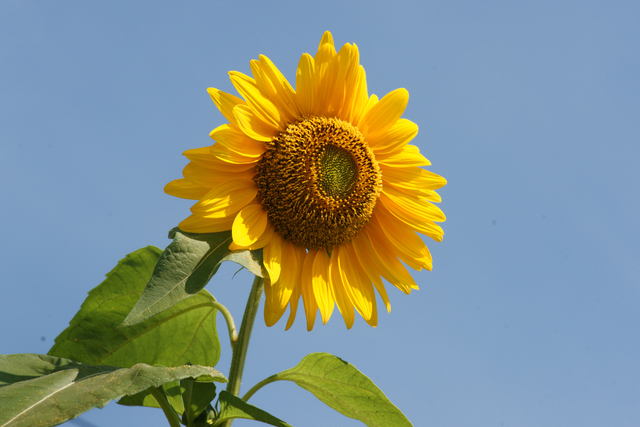 b0223668_6414126.jpg
